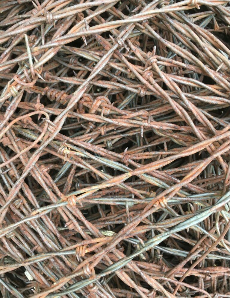 close-up image of rusted barbwire