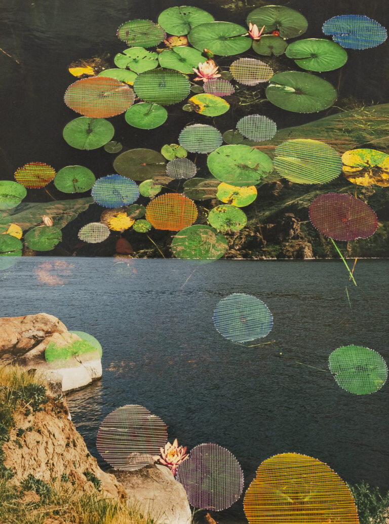 water lilies with embroidered or drawn lines over the top