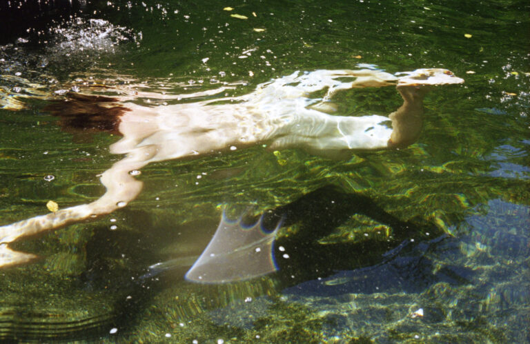 a naked swimmer behind the surface of the water is distorted by the ripples on the water
